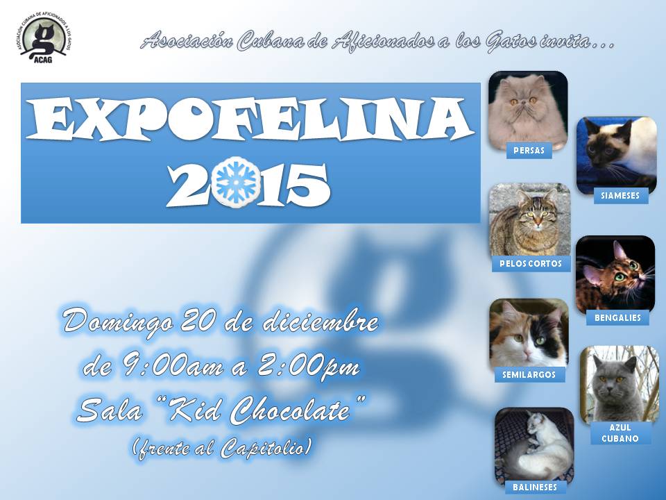 EXPO FELINA 2015