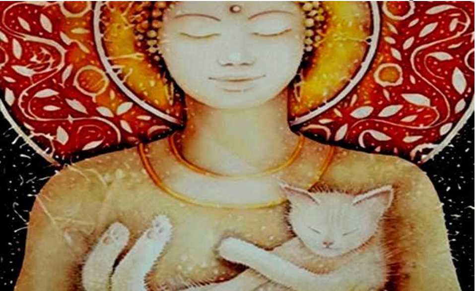 Budismo y gatos